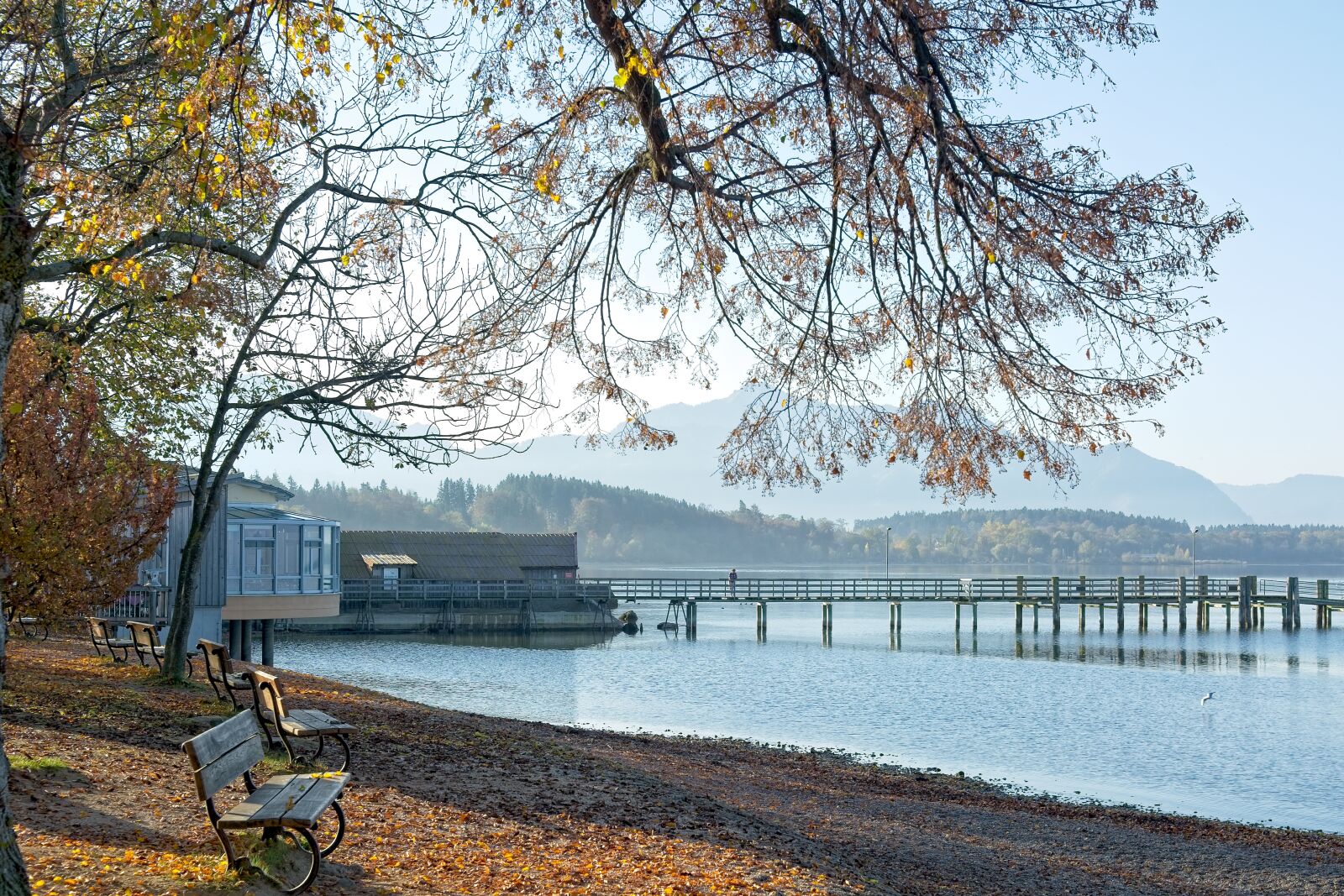 Nikon D7100 sample photo. Autumn, landscape, chiemsee photography
