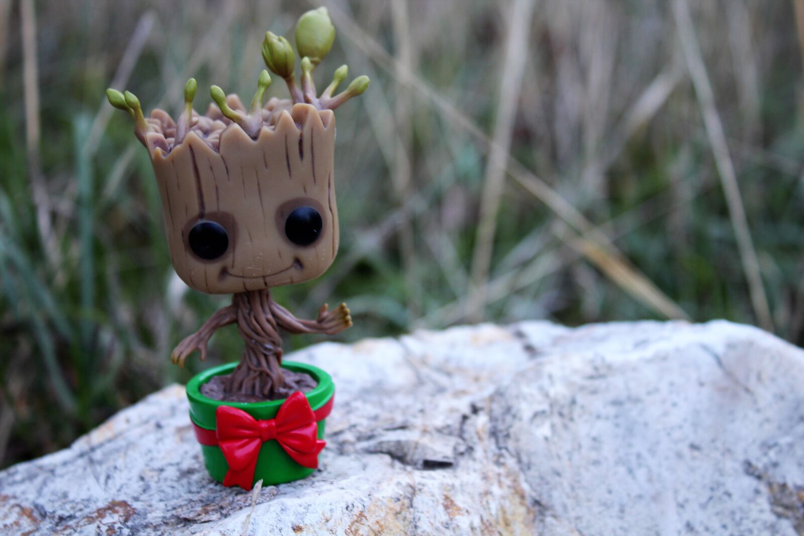 Canon EOS 1200D (EOS Rebel T5 / EOS Kiss X70 / EOS Hi) sample photo. Forest, groot, pop, toy photography