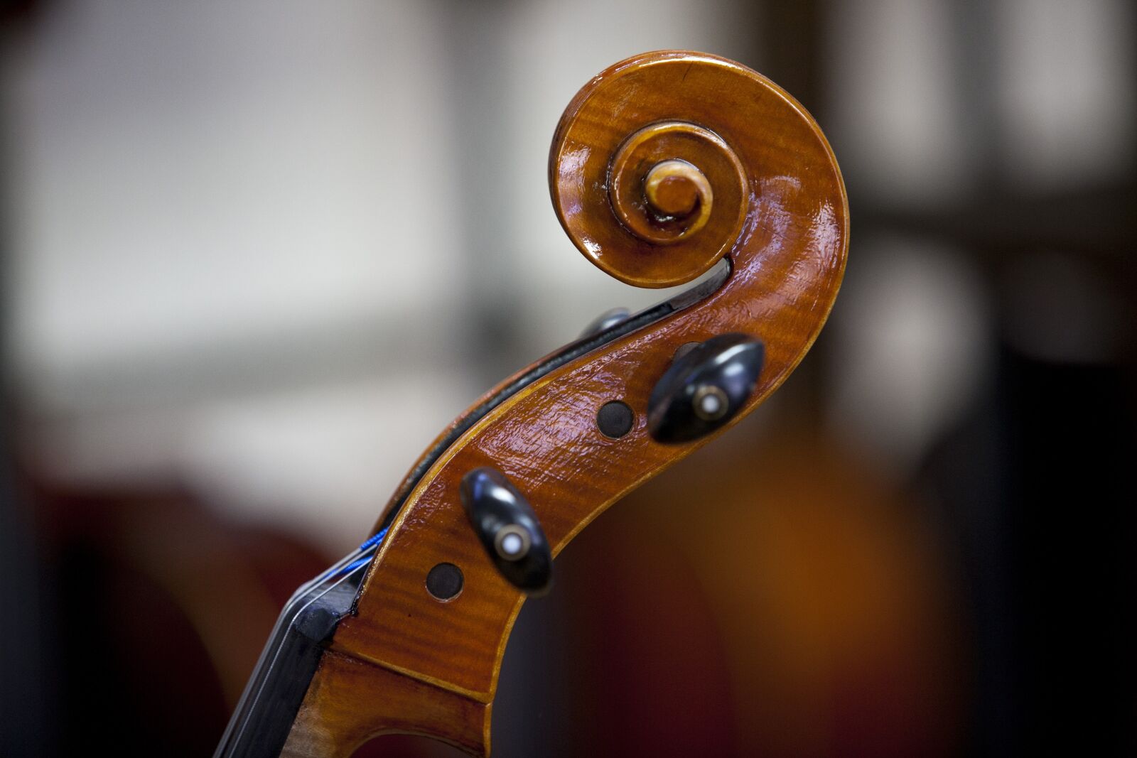 Canon EOS 5D sample photo. Violin, music, instrument photography