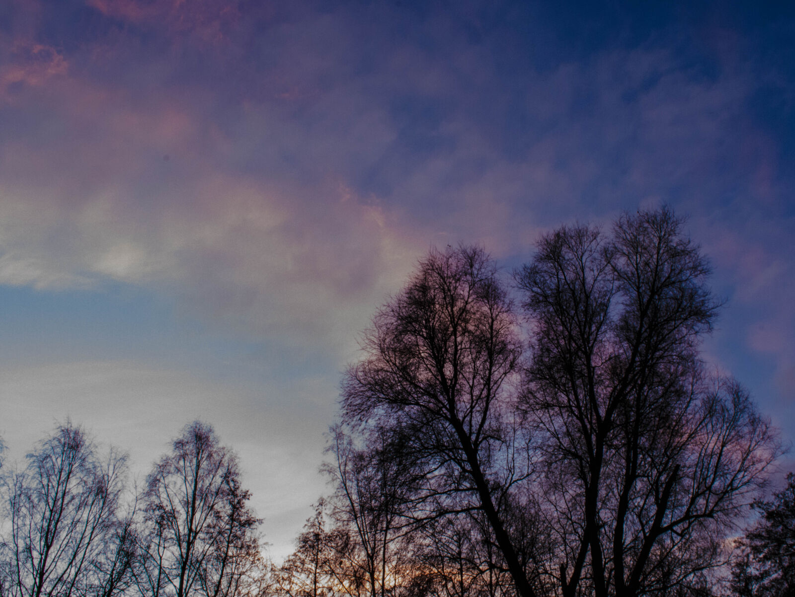 Nikon D5200 sample photo. Sky, sunrise, trees photography