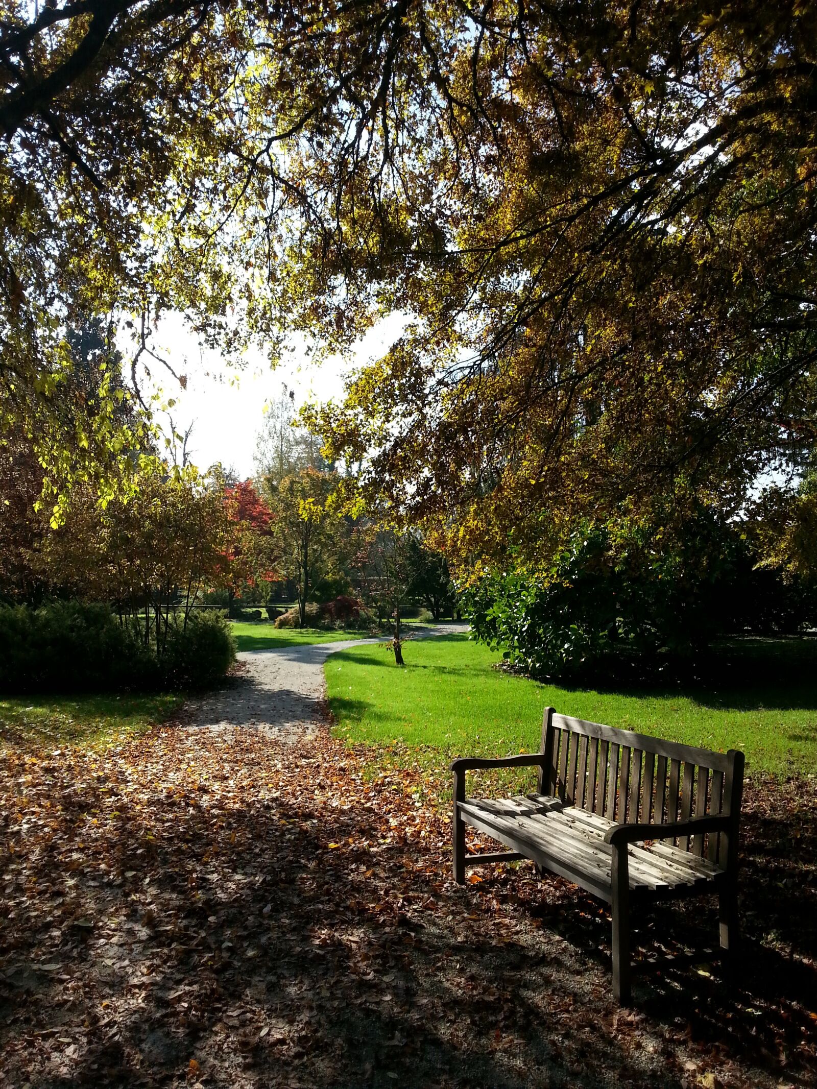 Samsung Galaxy S3 sample photo. Autumn, bench, leafs photography