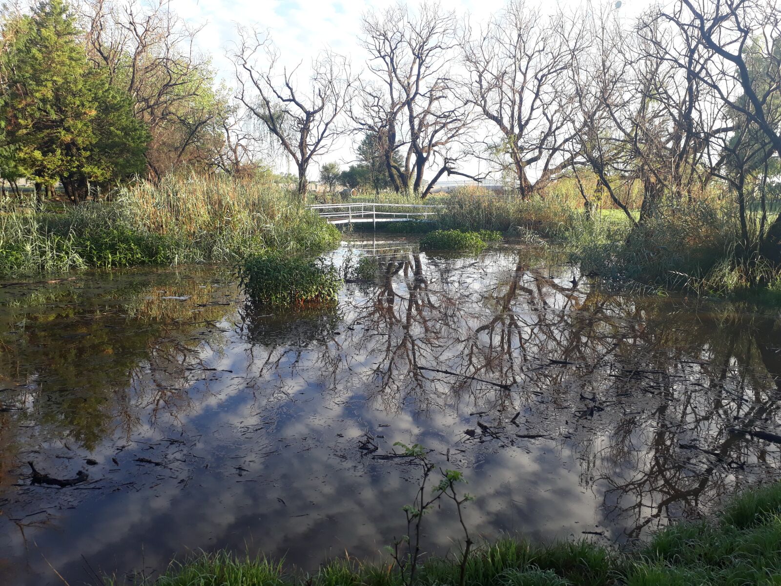 Samsung Galaxy A3(2017) sample photo. Pond, nature, water photography