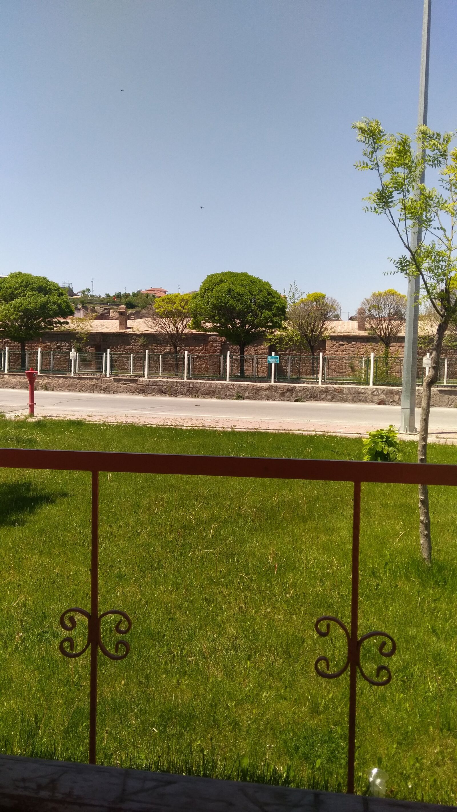 General Mobile GM 5 Plus sample photo. Palmiye pazar, wep seminerleri photography