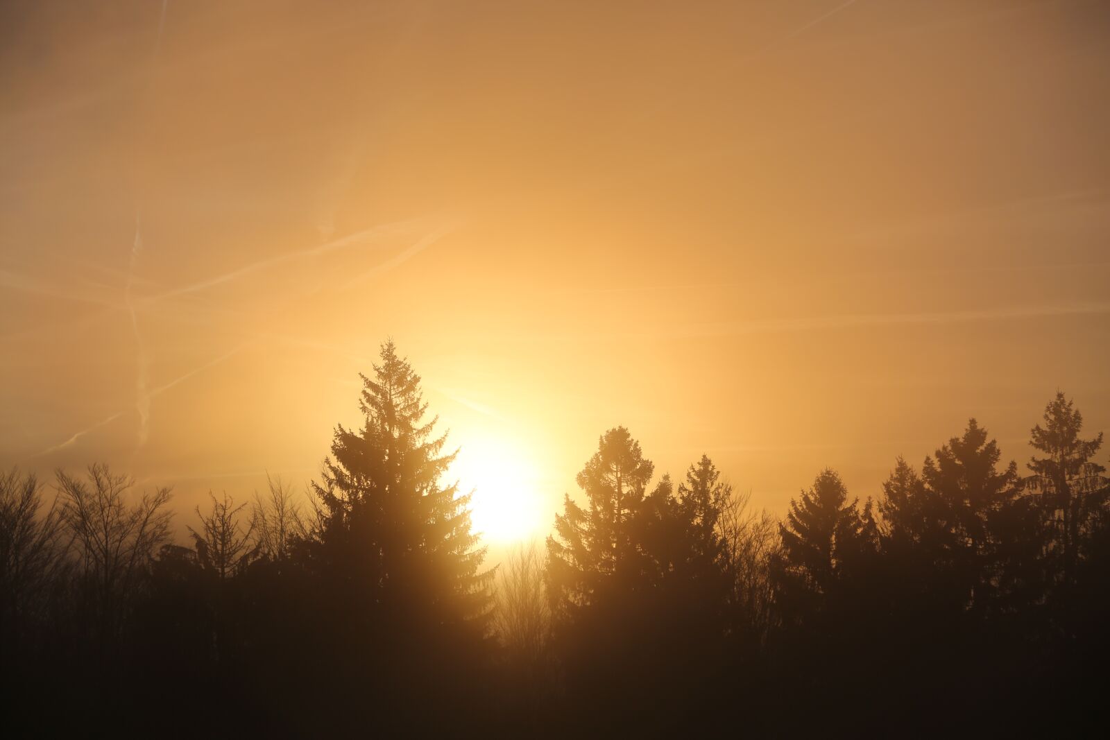 Canon EF 24-105mm F4L IS USM sample photo. Morning, sun, sunbeam photography