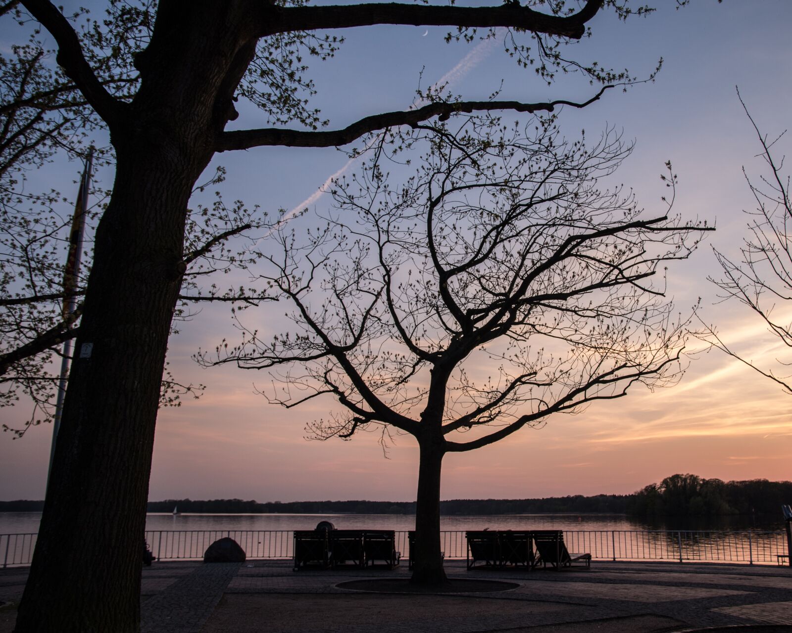 Pentax K-50 sample photo. Tree, sunset, landscape photography