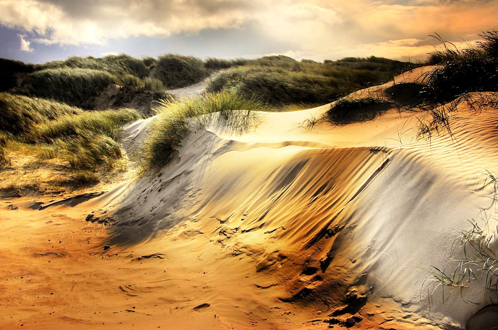 Nikon D40 sample photo. Dunes, north sea, beach photography