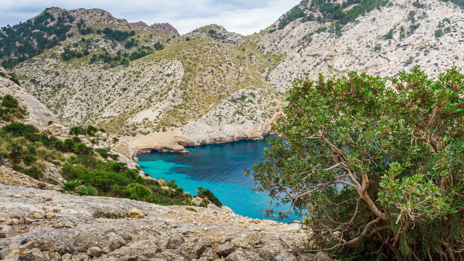 Canon EOS 650D (EOS Rebel T4i / EOS Kiss X6i) sample photo. Bay, mediterranean, mallorca photography