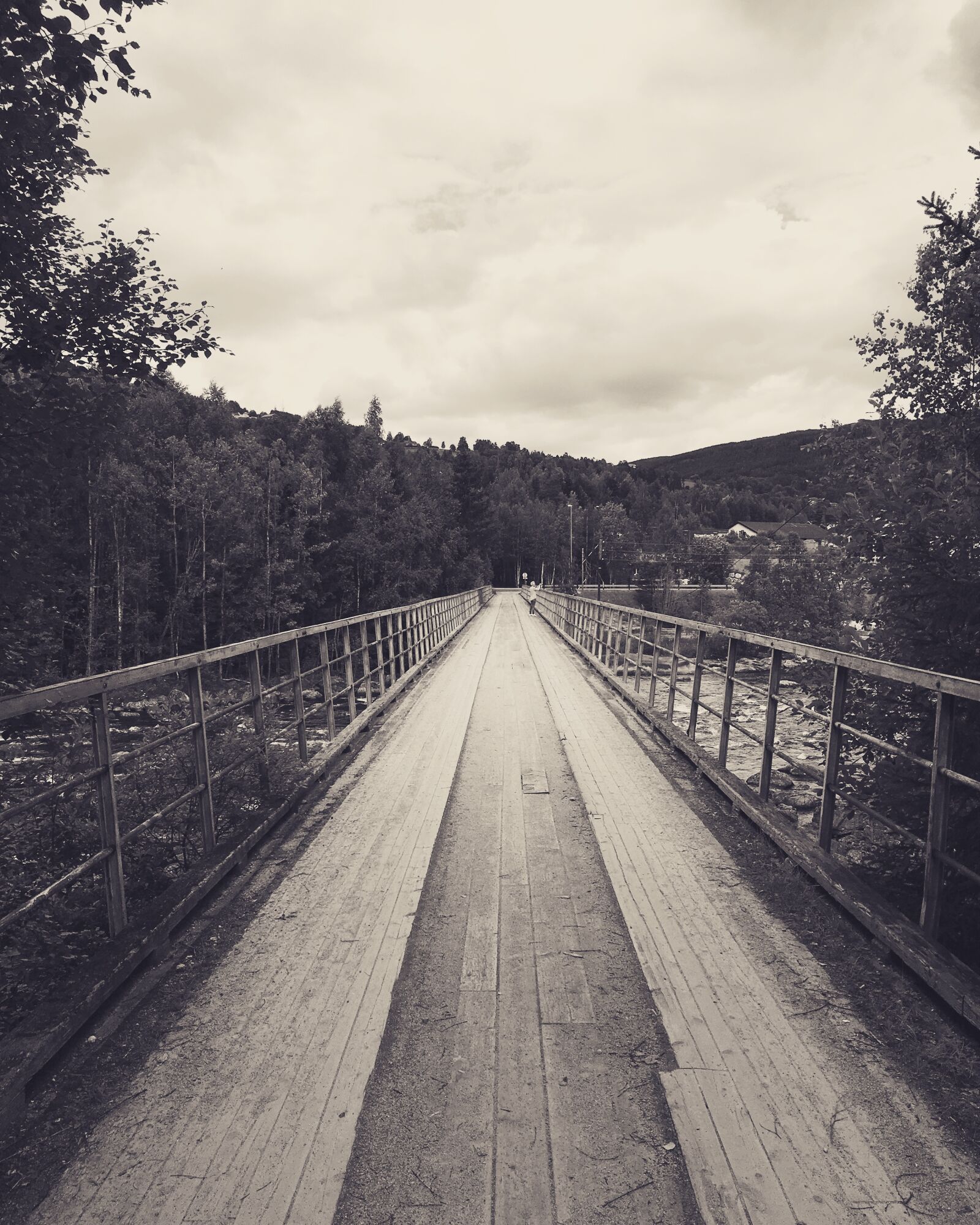 Apple iPhone 6s Plus sample photo. Bridge, forest, tree photography