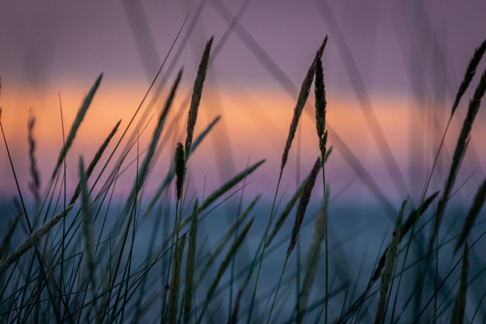 Canon EOS 650D (EOS Rebel T4i / EOS Kiss X6i) sample photo. Abendstimmung, sunset, landscape photography