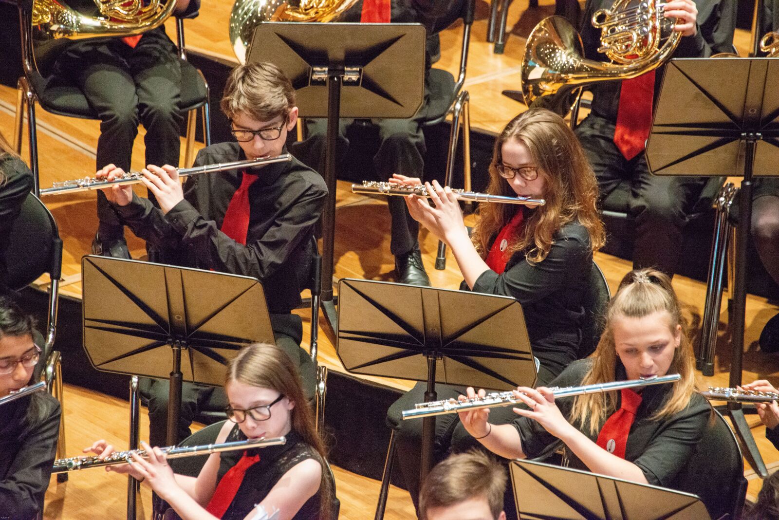 Nikon D800 sample photo. Flute, orchestra, children photography