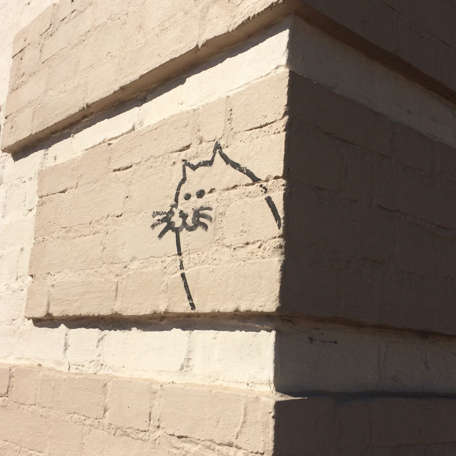 iPhone 5s back camera 4.15mm f/2.2 sample photo. Cat, street, art photography