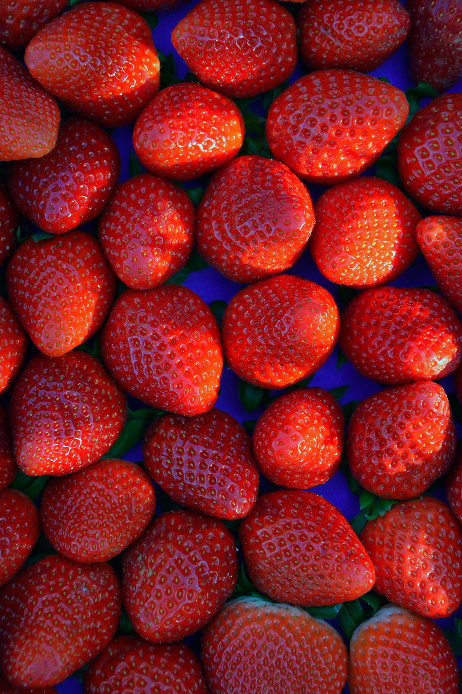 Nikon D3200 sample photo. Strawberry, red, fruit photography