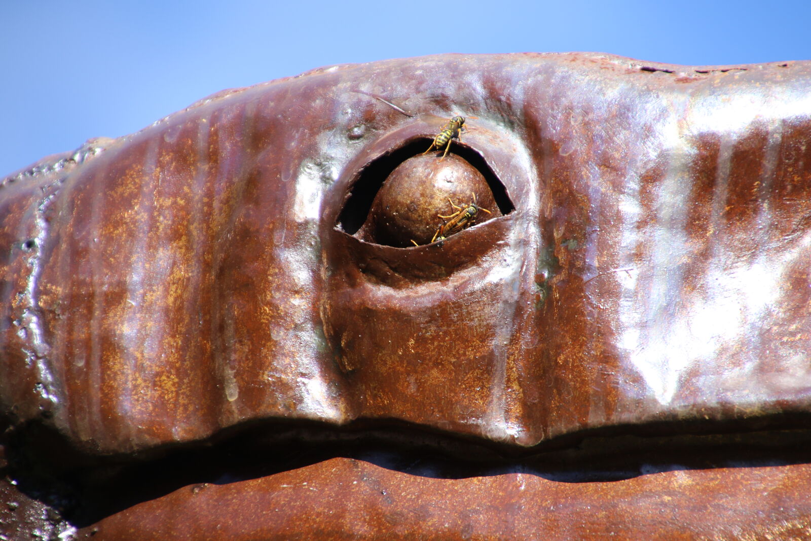 Canon EOS 7D Mark II sample photo. Dinosaur, eye, looking, statue photography