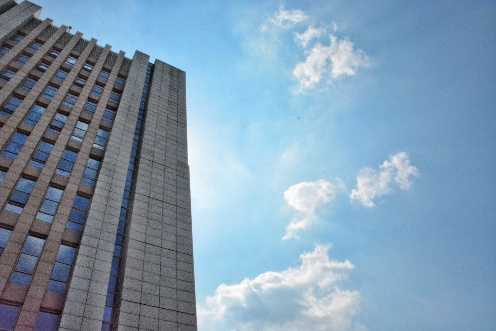 Nikon D7100 sample photo. Library, blue sky, white photography