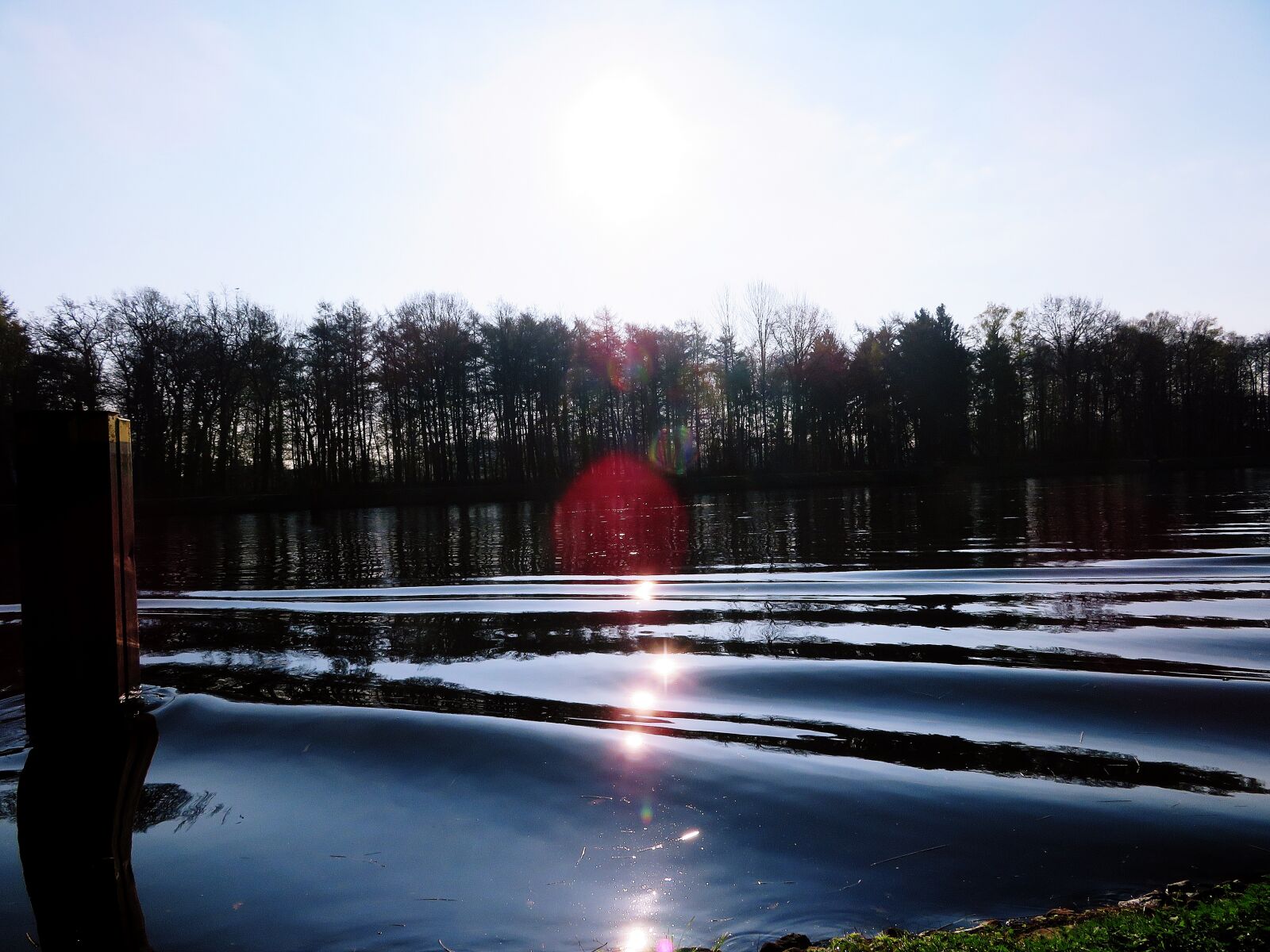Canon PowerShot SX720 HS sample photo. Trees, water, nature photography