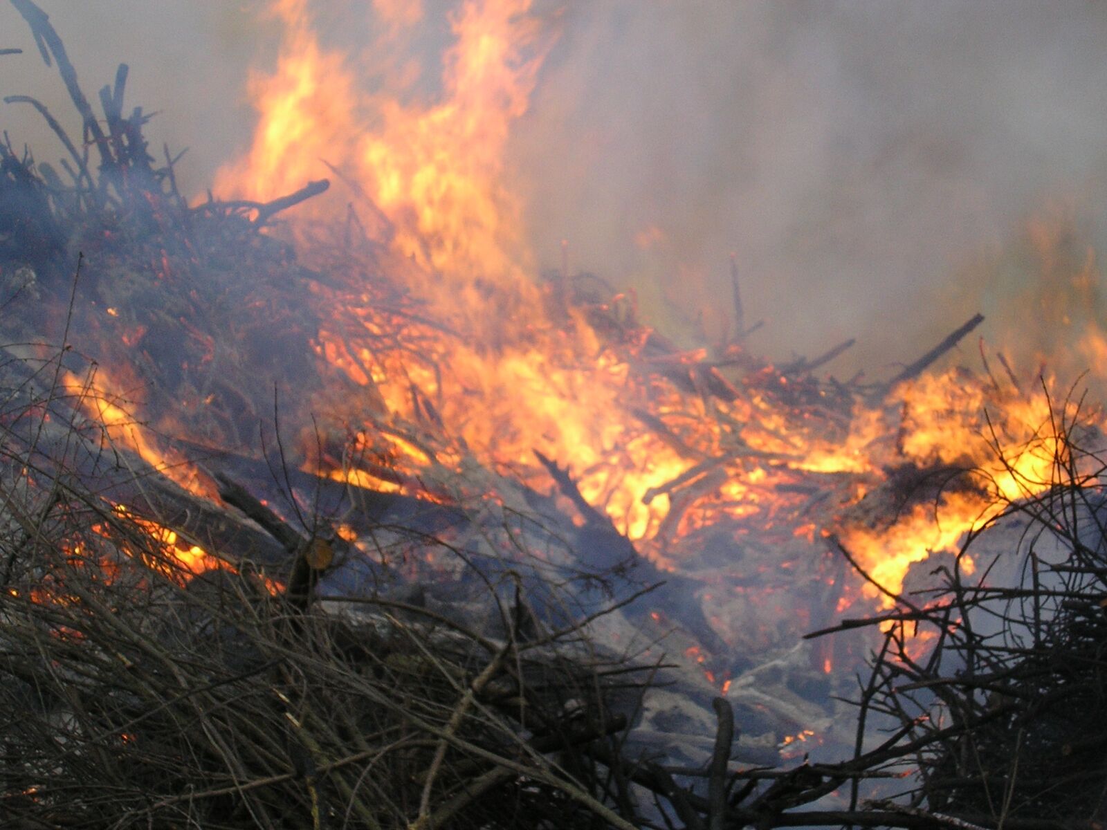 Olympus X100,D540Z,C310Z sample photo. Easter fire, fire, easter photography