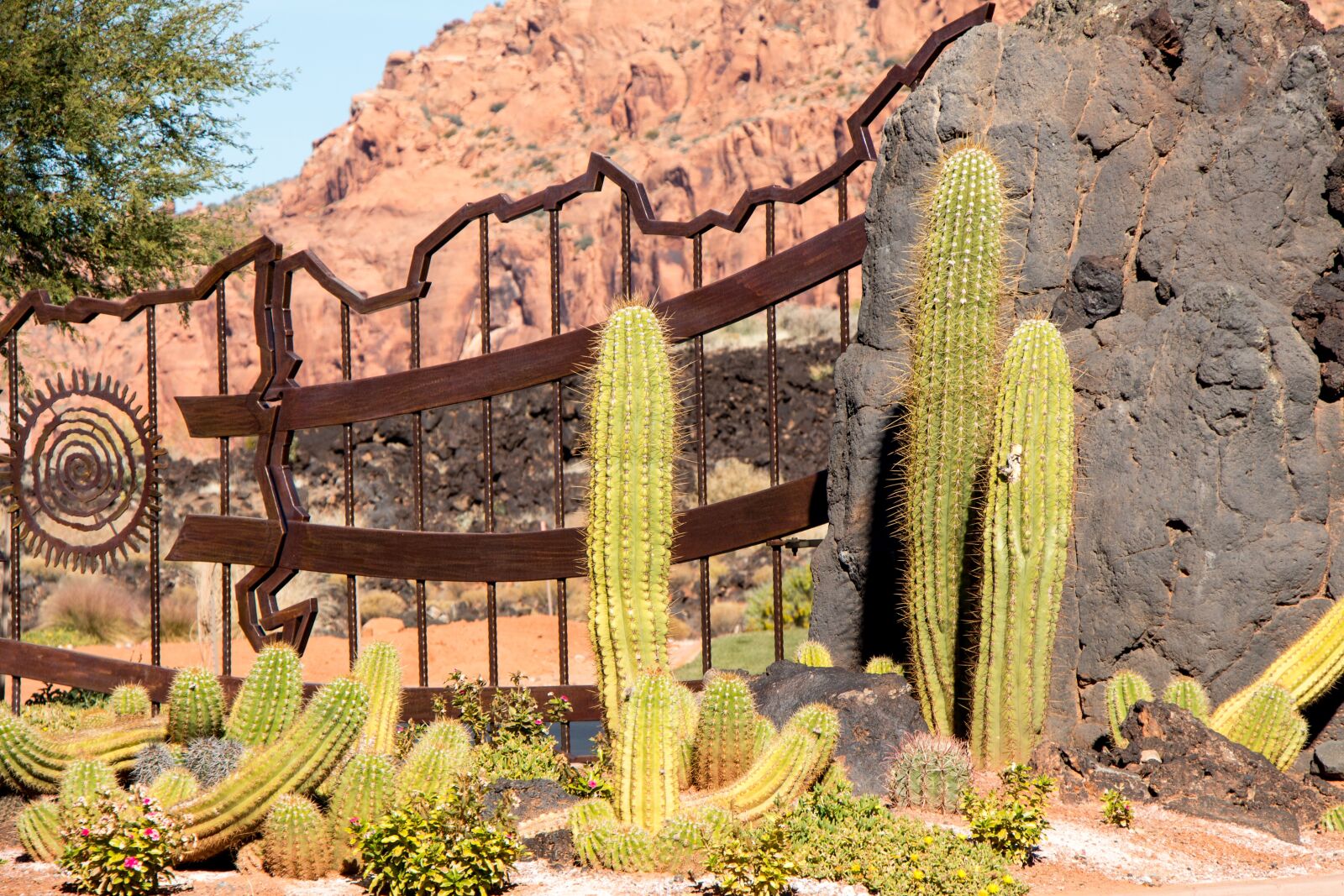 Canon EOS 650D (EOS Rebel T4i / EOS Kiss X6i) sample photo. Cactus garden, gate, utah photography