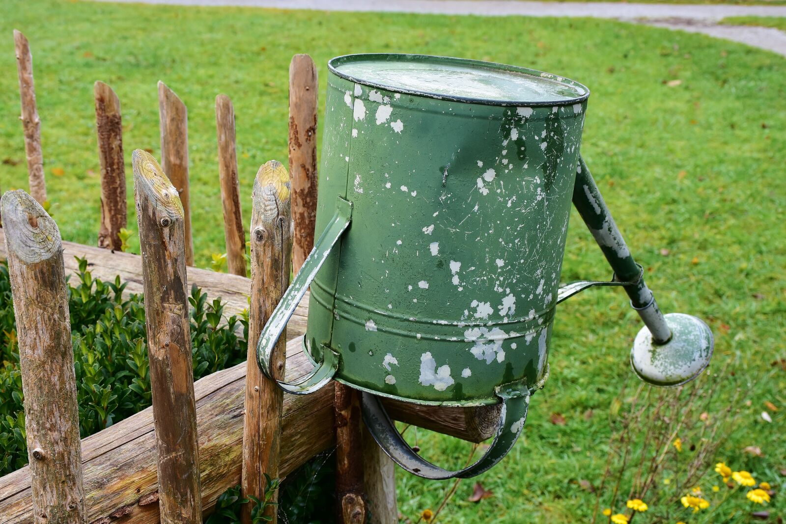 Nikon D7200 sample photo. Fence, garden fence, watering photography