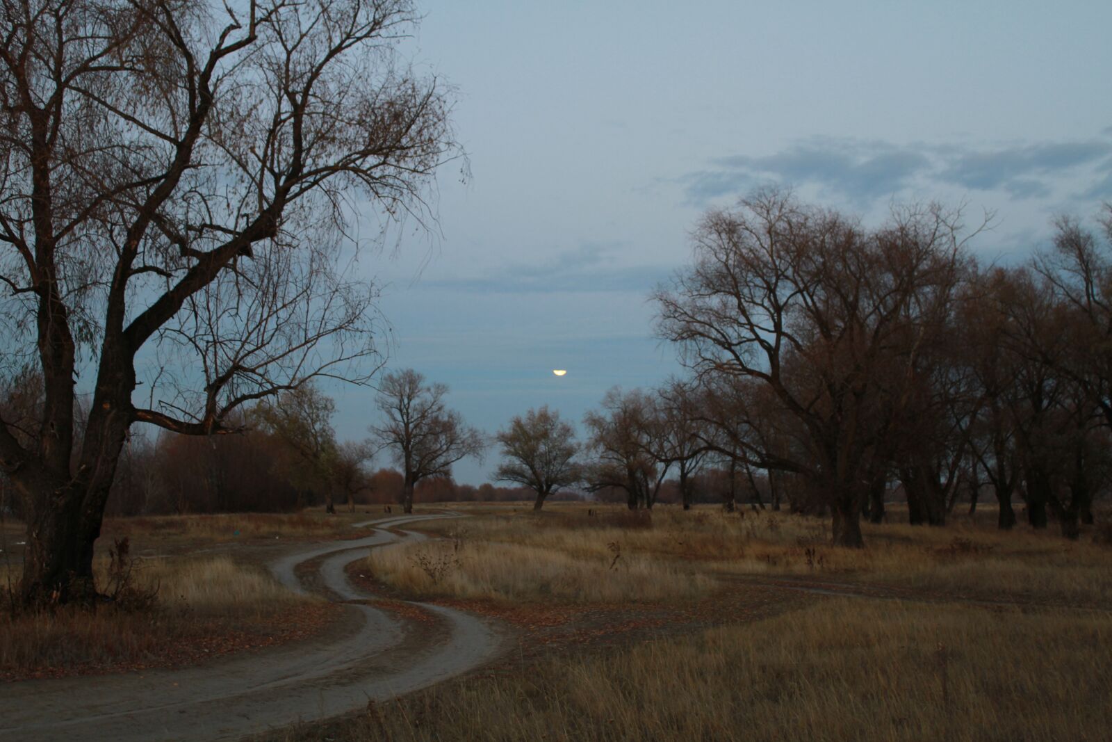 Canon EOS 7D sample photo. Night, road, moon photography