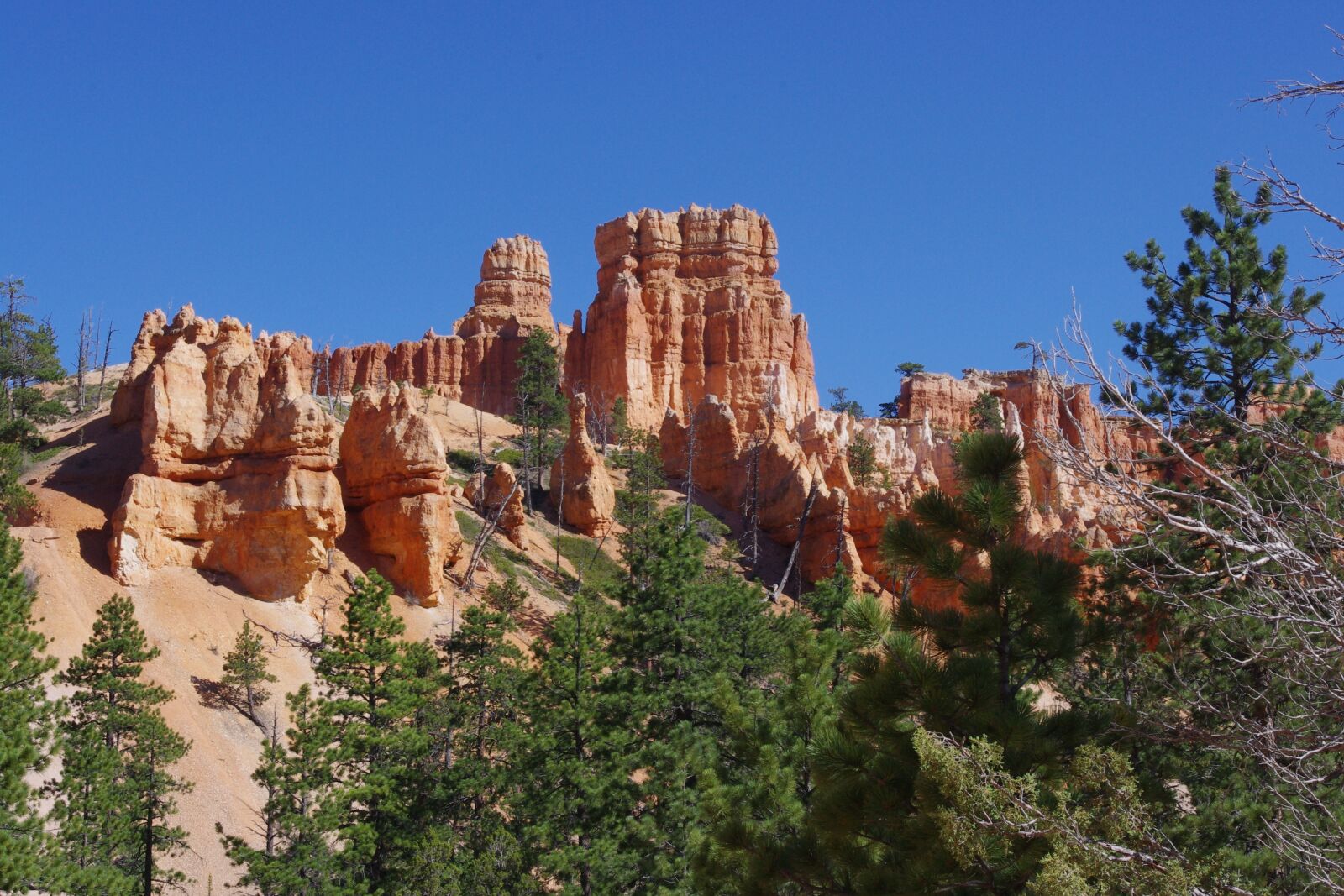 Pentax K-x sample photo. Bryce, canyon, rock photography