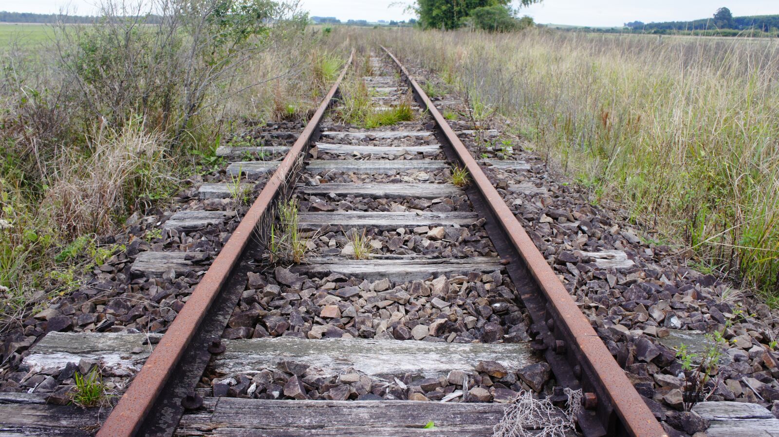 Sony Alpha NEX-3 + Sony E 18-55mm F3.5-5.6 OSS sample photo. Trail, train, abandoned photography