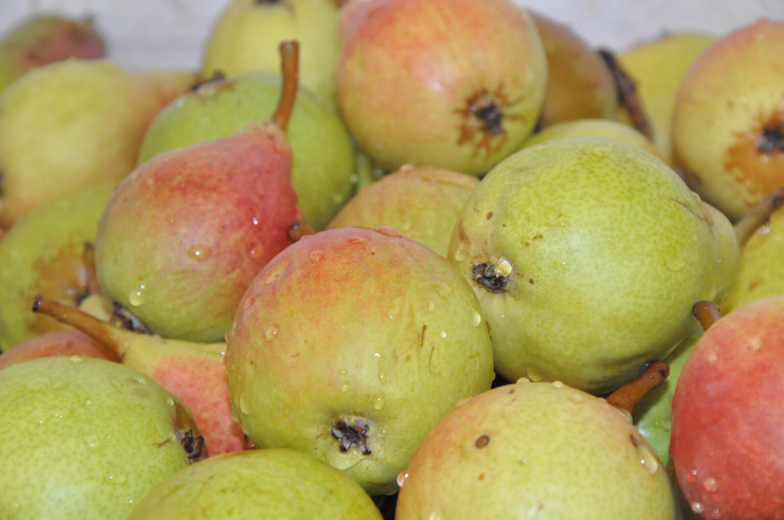 Nikon D90 sample photo. Pears, fruit, nutrition photography