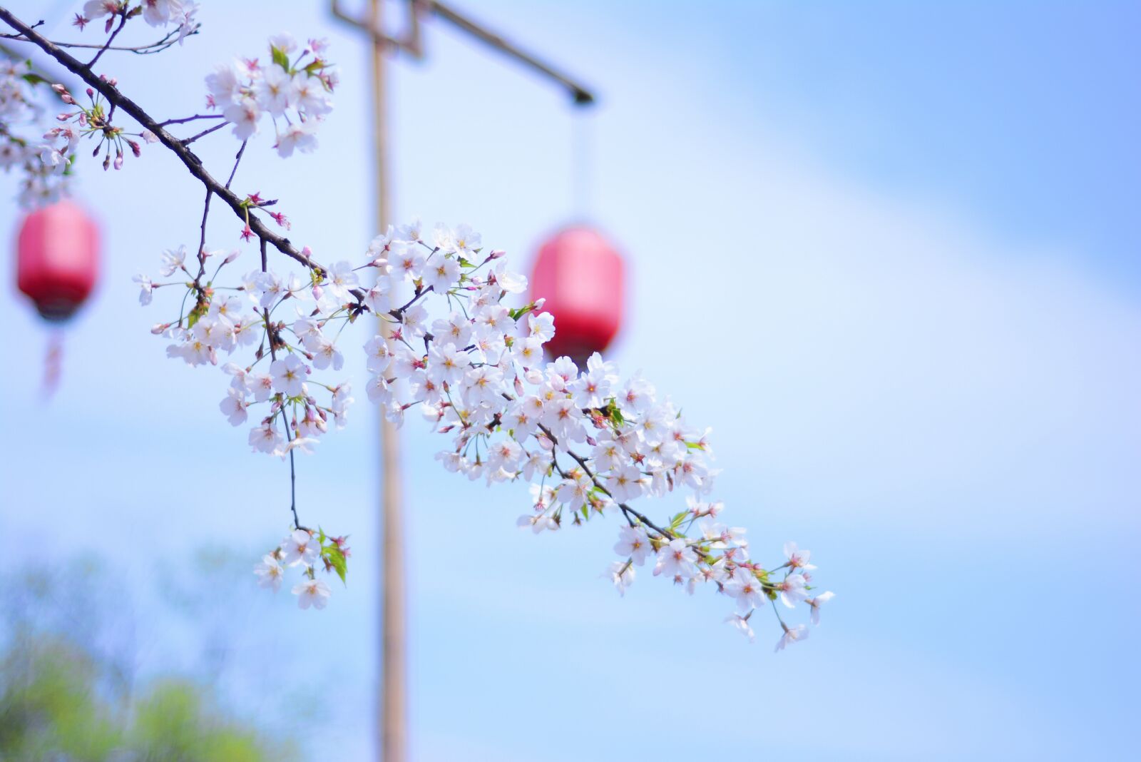 Nikon D7100 sample photo. Wuzhen, xitang, spring photography