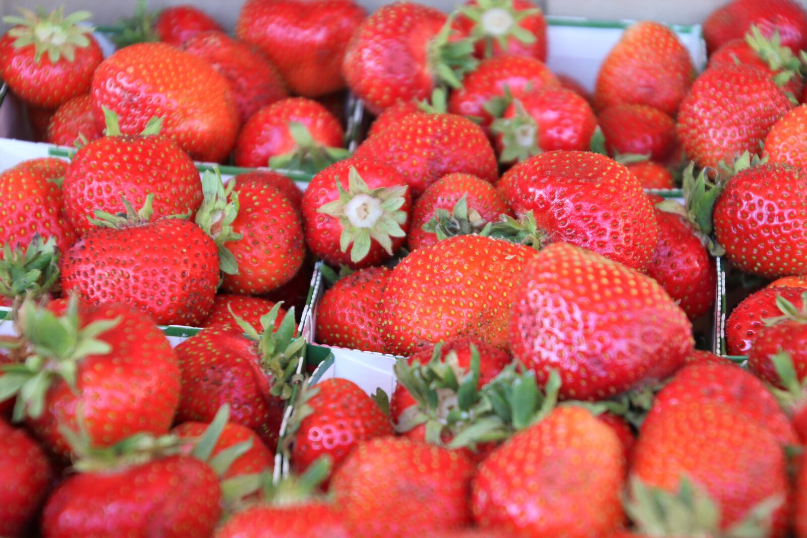 Canon EOS 7D Mark II sample photo. Buy, country, eat, farm photography