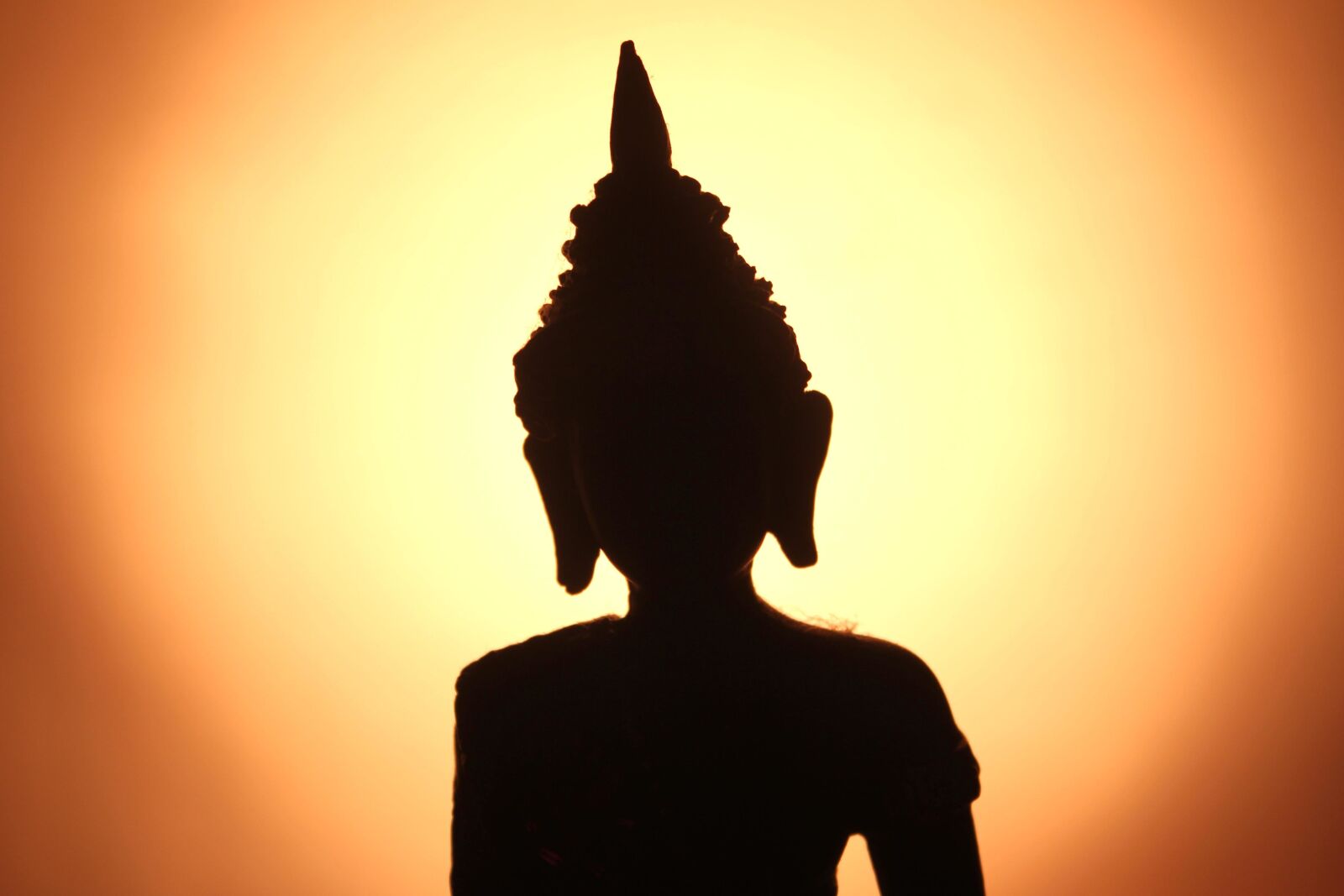 Canon EOS 550D (EOS Rebel T2i / EOS Kiss X4) sample photo. Buddhism, silhouette, black, art photography