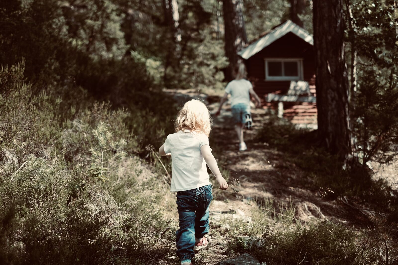 Fujifilm XF 35mm F1.4 R sample photo. Summer, kids, forest photography