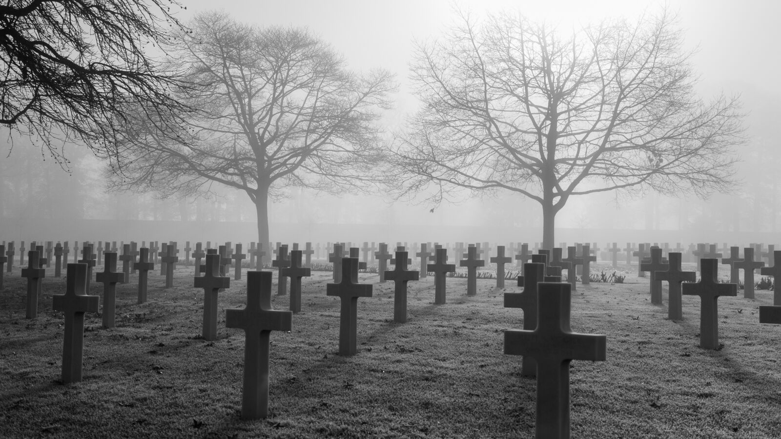 Canon EF 24-105mm F4L IS USM sample photo. War memorial, remembrance day photography