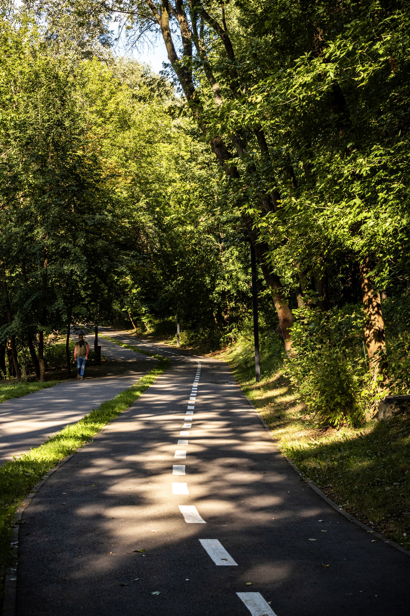 Nikon D750 sample photo