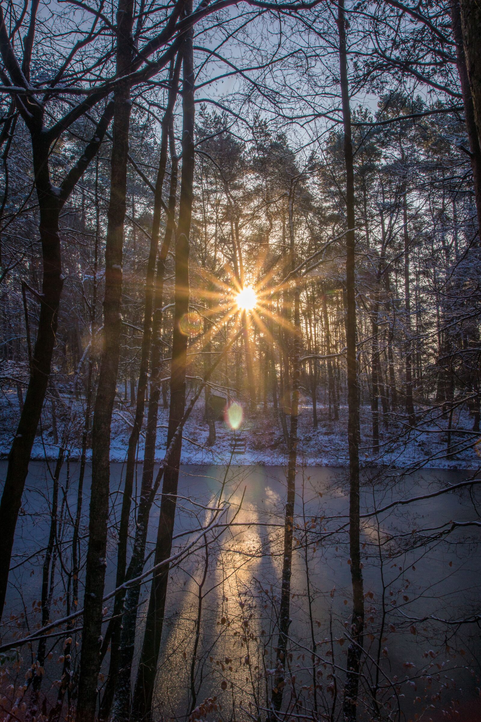 Sony SLT-A77 sample photo. Sun, reflection, water photography