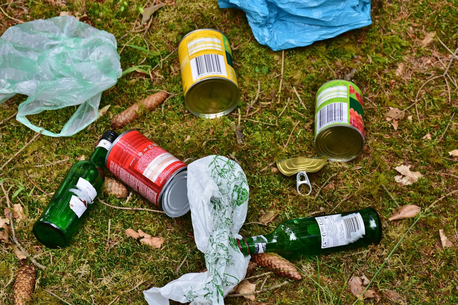Nikon D7200 sample photo. Garbage, plastic waste, waste photography