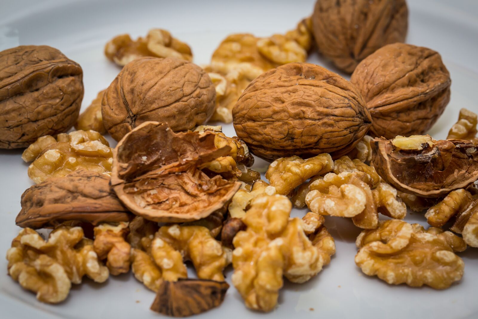 Canon EF 100mm F2.8L Macro IS USM sample photo. Walnut, nut, walnuts photography