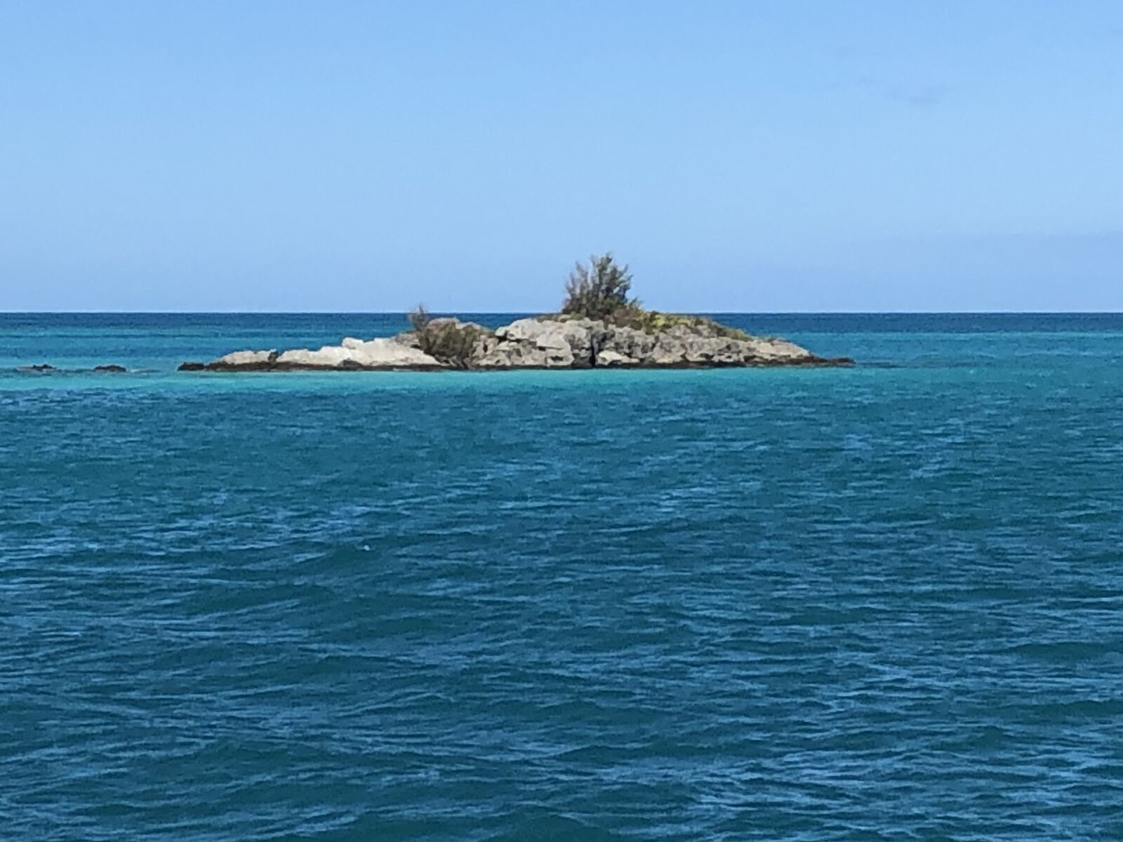 iPhone 8 back camera 3.99mm f/1.8 sample photo. Bermuda, ocean, island photography