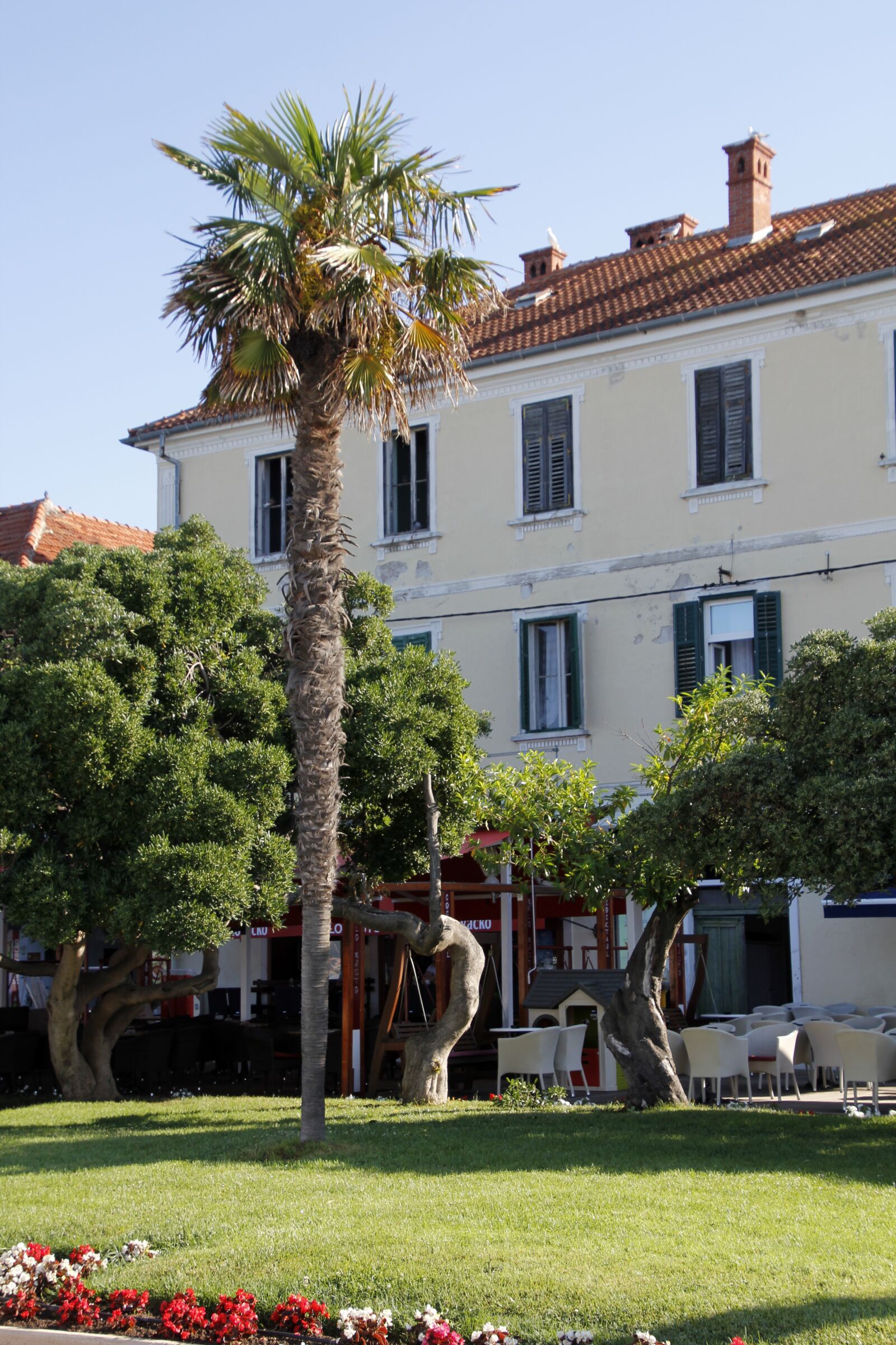Canon EOS 60D sample photo. Palm, croatia, zadar photography