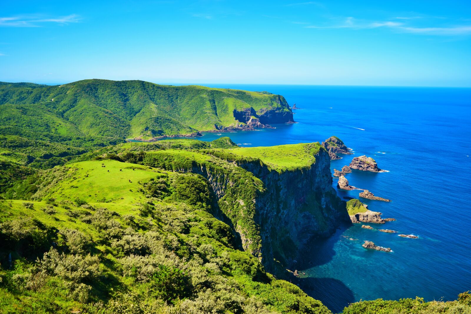 Nikon D3300 sample photo. Oki islands, japan, coastline photography