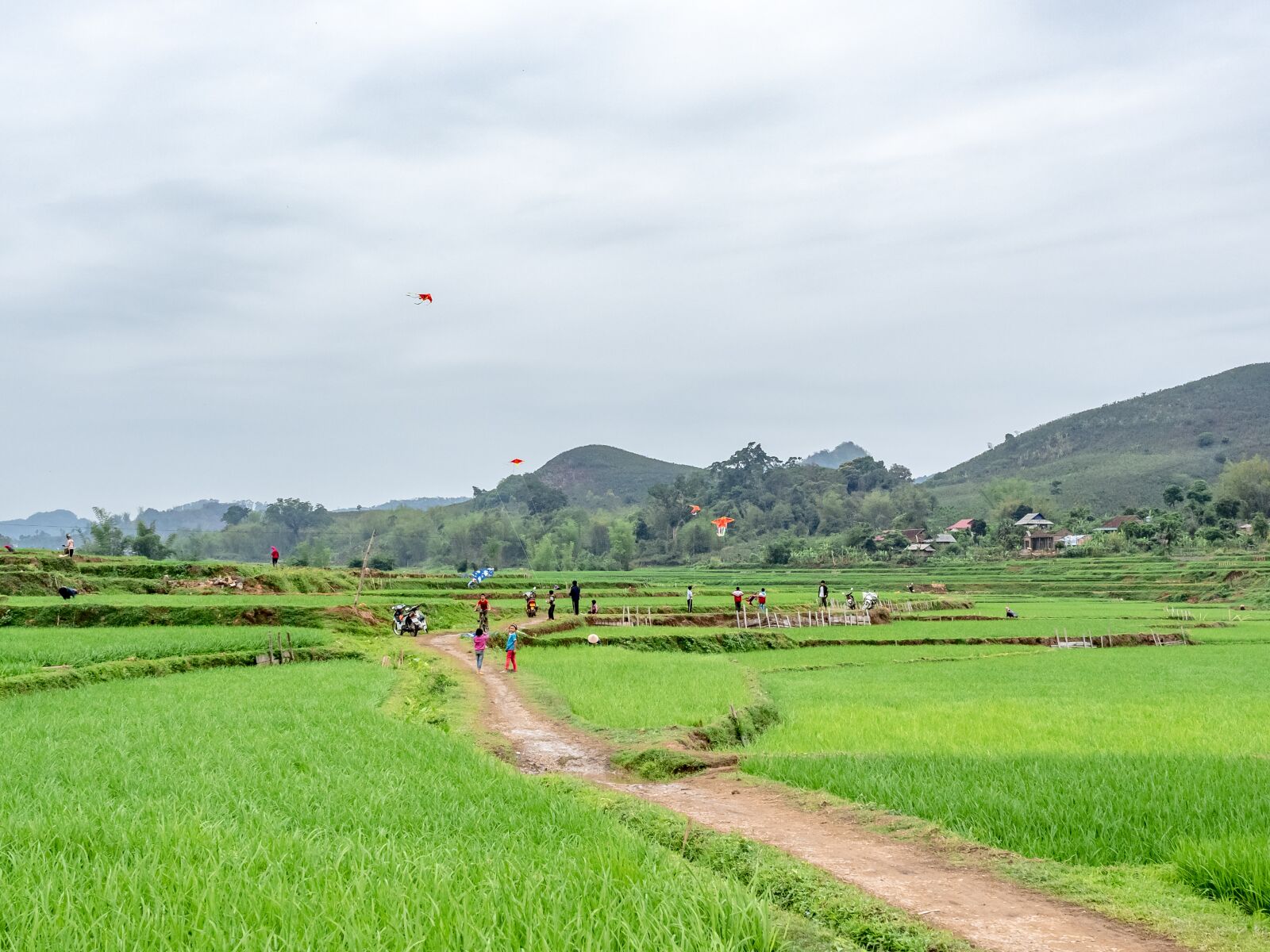 Olympus OM-D E-M1 Mark II + Olympus M.Zuiko Digital ED 12-40mm F2.8 Pro sample photo. Rice fields, bicycles, water photography