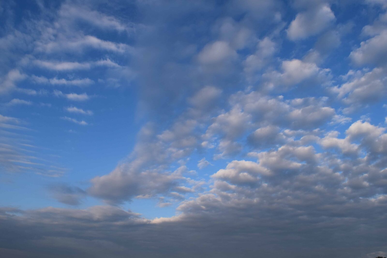 Nikon D3300 sample photo. Sun, nature, meteorology, summer photography