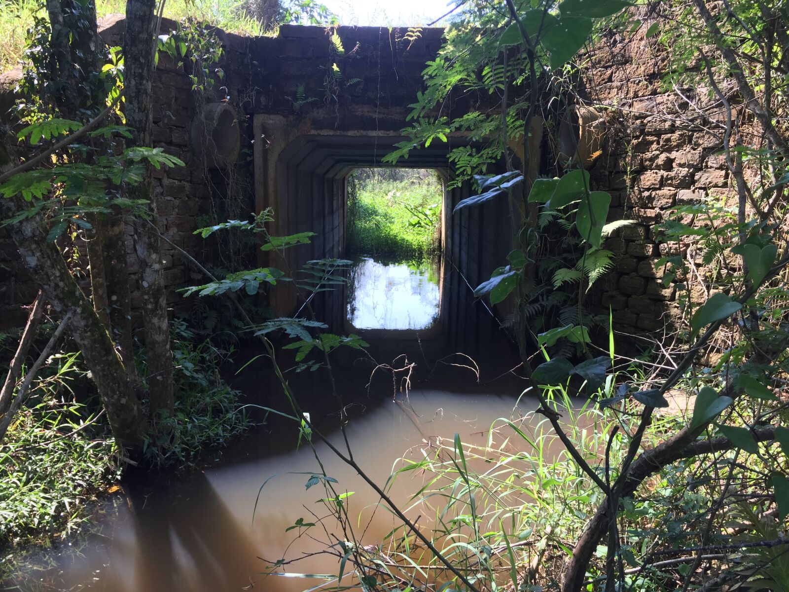 iPhone 6 back camera 4.15mm f/2.2 sample photo. Bridge, calm, waters, nature photography
