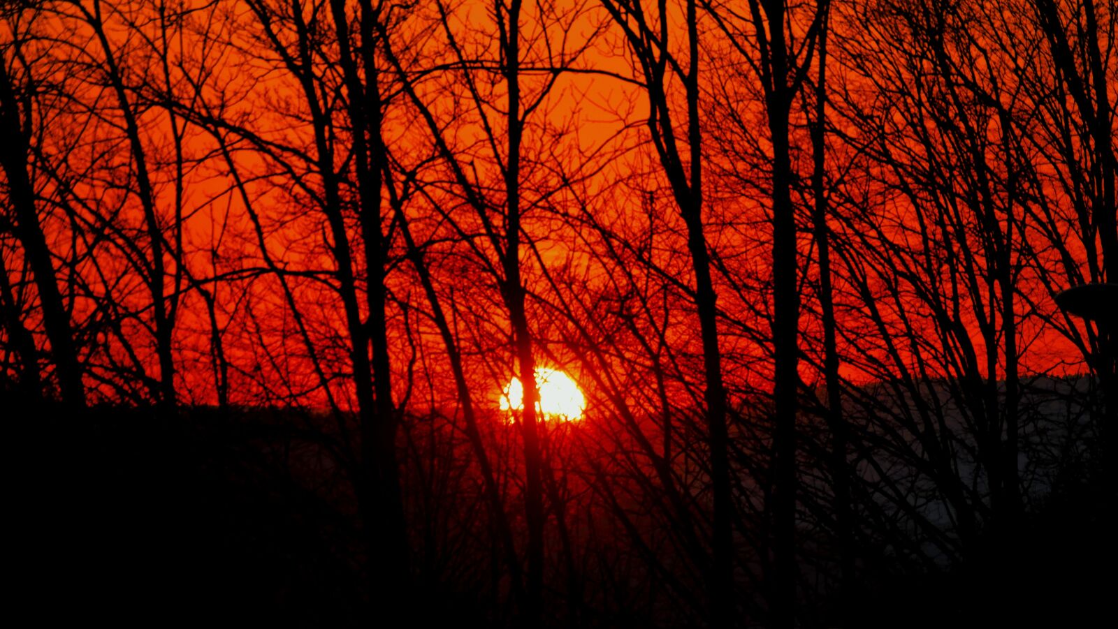 Panasonic Lumix DMC-GX8 sample photo. Sunset, afterglow, trees photography