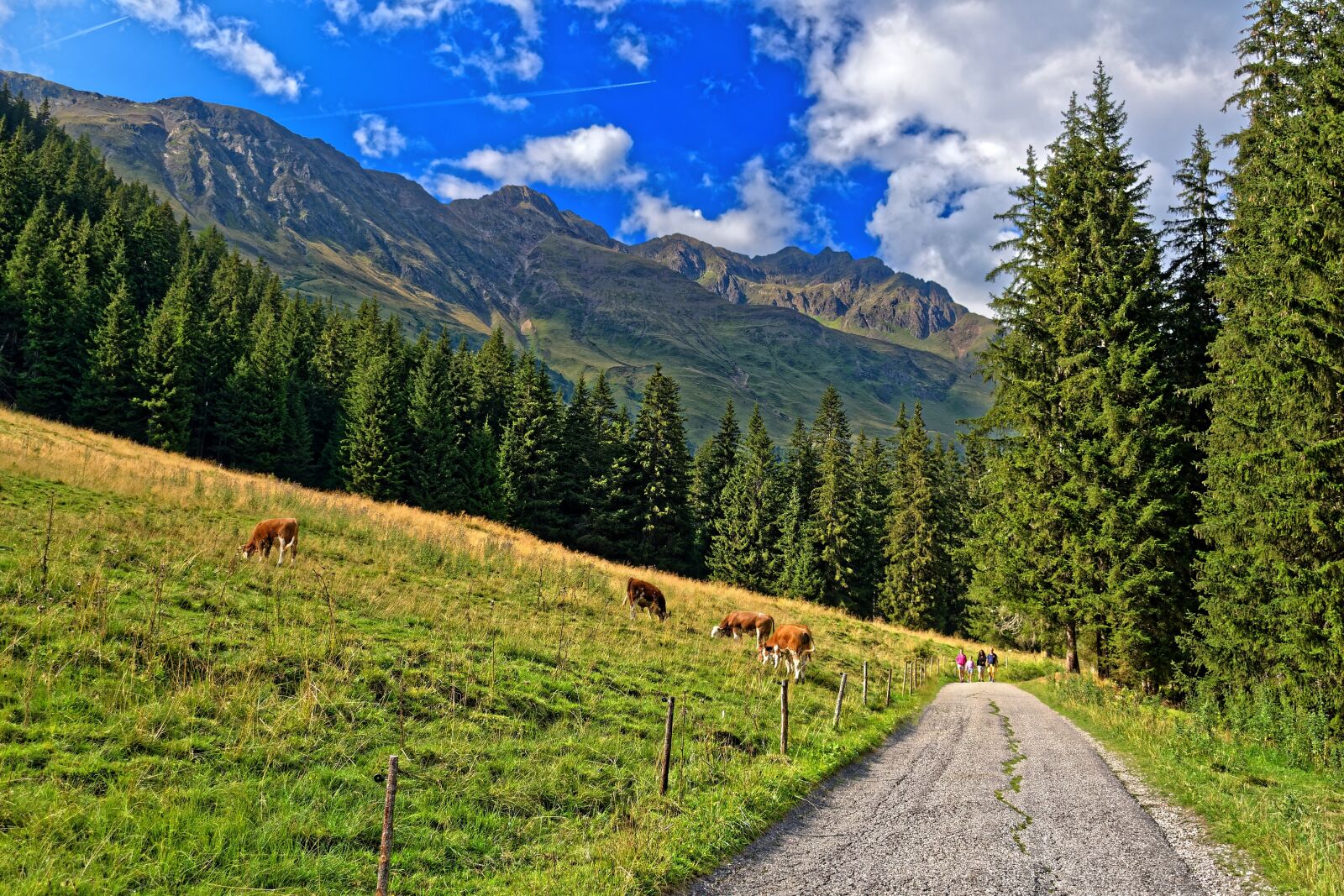 Nikon D5300 sample photo. Mountain, trail, mountains photography