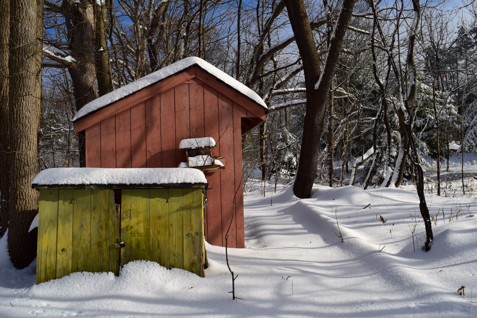 Nikon D3300 sample photo. Winter, snow, shed photography