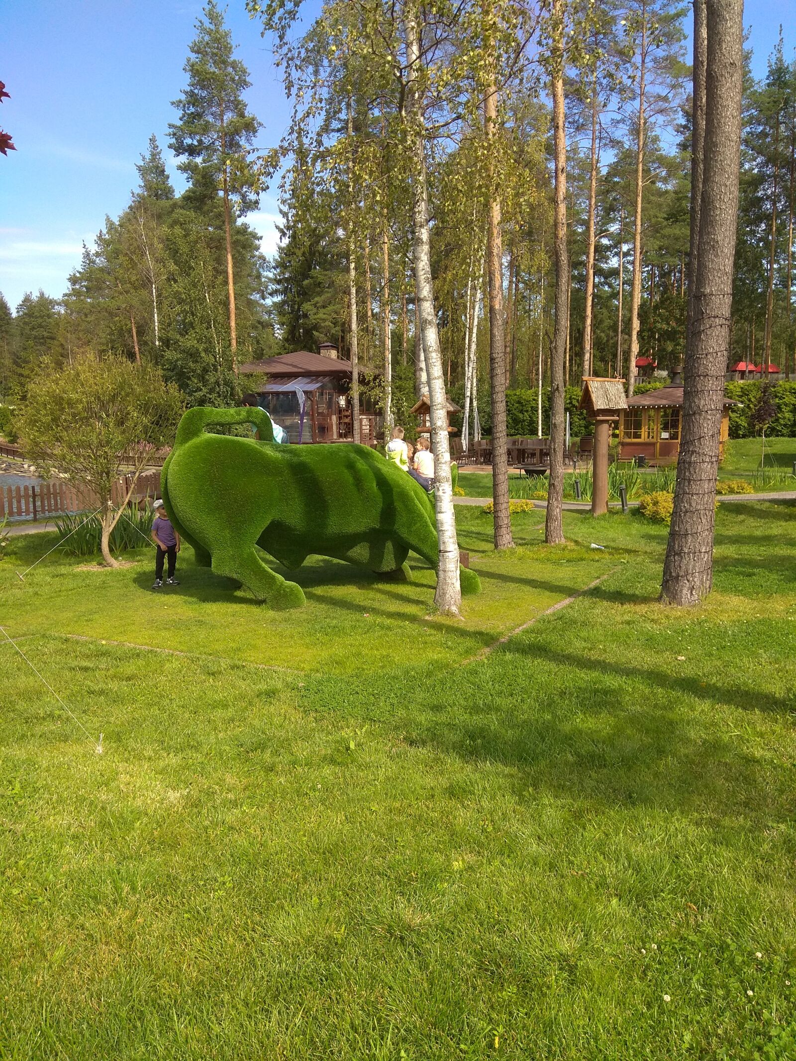Xiaomi Redmi Note 4 sample photo. санкт-петербург, лето, природа photography