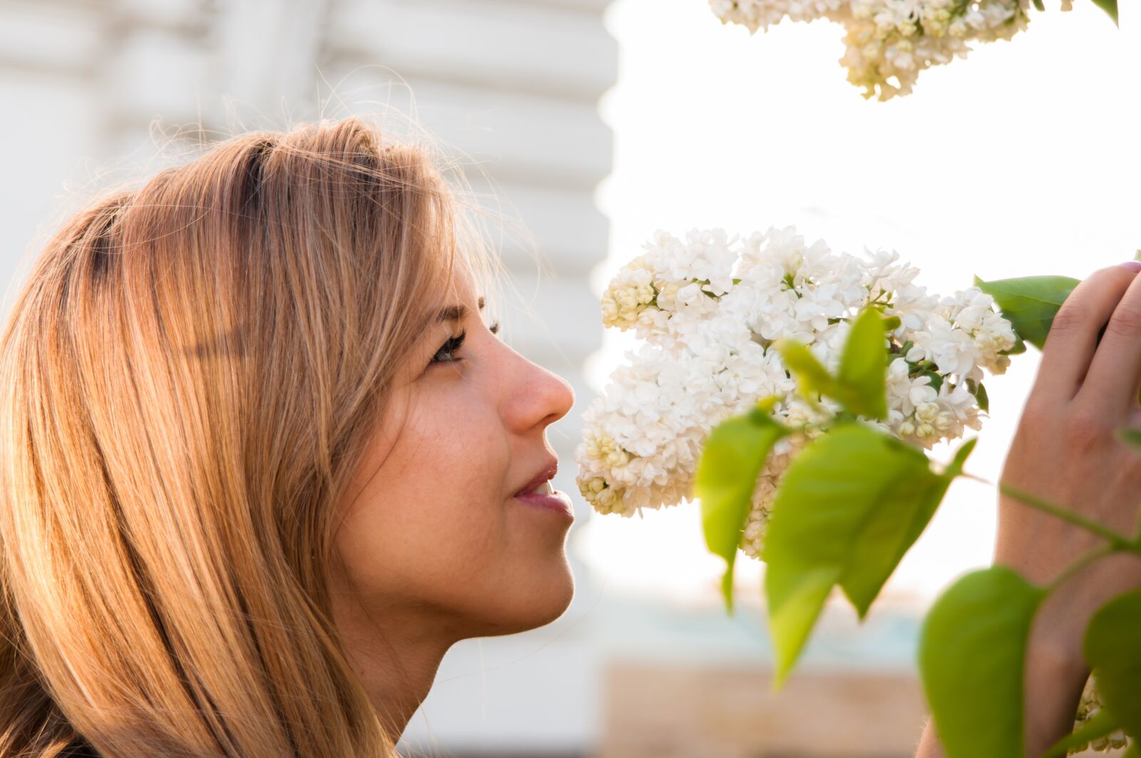 Nikon D300S sample photo. Girl, flowers, sun photography