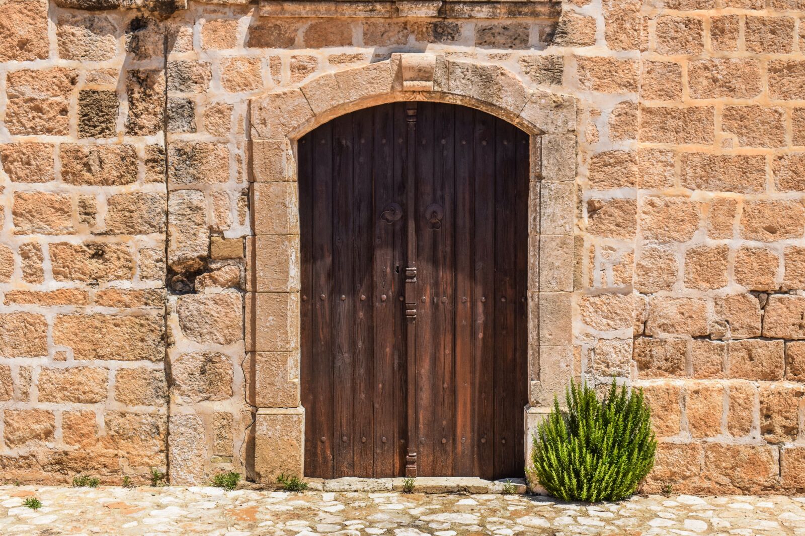 Nikon D3300 sample photo. Door, wooden, entrance photography