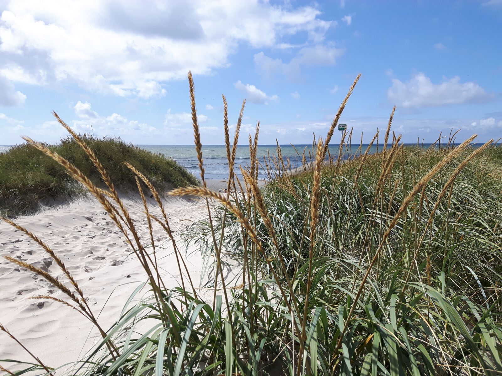 Samsung Galaxy S5 Neo sample photo. Denmark, beach, water photography