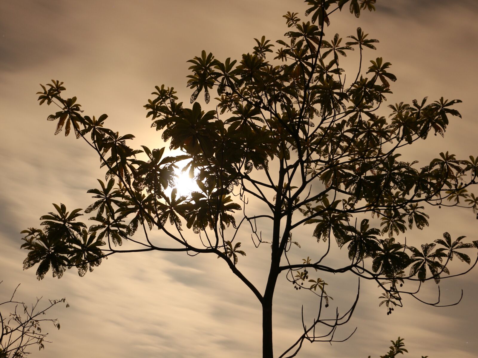 Canon EOS 700D (EOS Rebel T5i / EOS Kiss X7i) sample photo. The dark night, moon photography