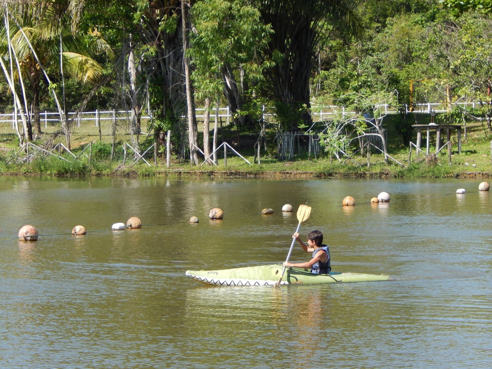 Nikon Coolpix L820 sample photo. Caique, rio, nature photography